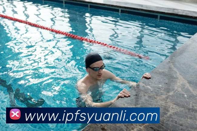 App Interface Preview